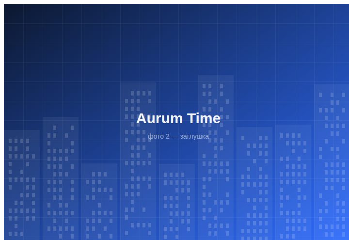ЖК «Aurum Time» — вид 2